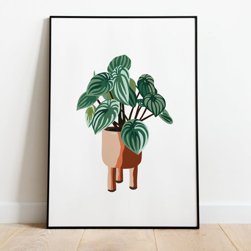 Dieffenbachia Houseplant Plant Lover Wall Art Downloadable Printable Gift